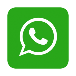 whatsapp_logo_icon_189219
